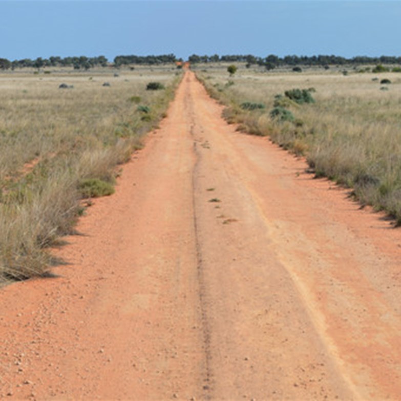 The vast expanses of Danggali Conservation Park