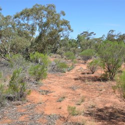 General view at the Confluence site