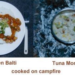 Chicken balti and Tuna mornay