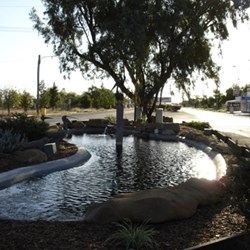 Winton - Pond with pelicans in main street