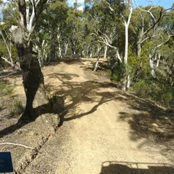 An easy run on the Abercrombie Fire Trail to The Sink