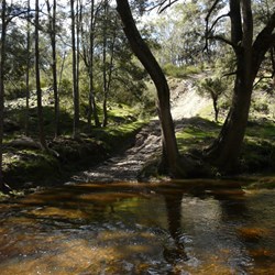 The Retreat River crossing we avoided