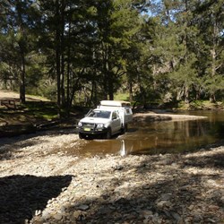 They follow, but only out of curiosity