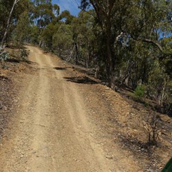 Upward on our way to The Beach