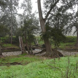 Silent Creek - most water runs underground