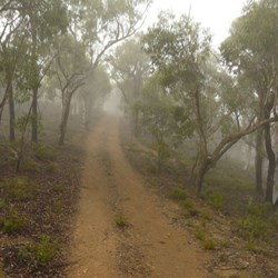 Leaving Silent Creek in the morning mist