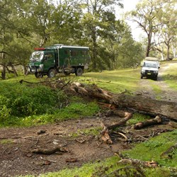 Stopped by a fallen tree on Silent Creek Fire Trail