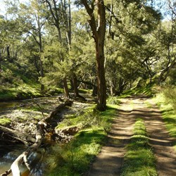 Retracing our steps alongside Silent Creek