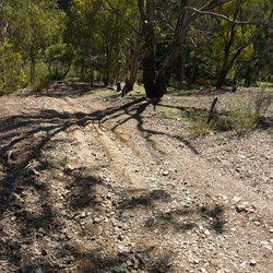 Down, down, down we go