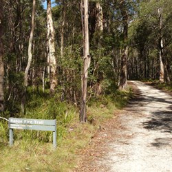 Heading south to Wombeyan Caves Road on Range Fire Trail