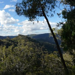 Beautiful scenery in the Blue Mountains National Park