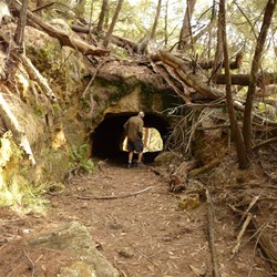 The coke tunnel - Hidden treasure in Mittagong