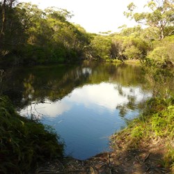 Blue Pool campground - Budderoo National Park