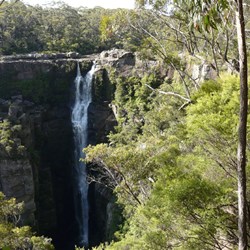 Carrington Falls - Budderoo National Park