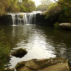 Nellie's Glen - Budderoo National Park
