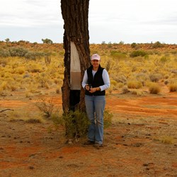 Len Beadell Blaze Tree