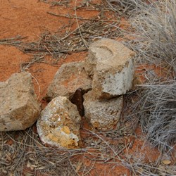 Bench Mark-Abandoned Gunbarrel Highway