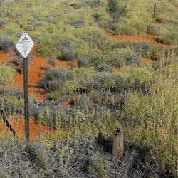 Old Warburton Road, south of Cosmo Newberry