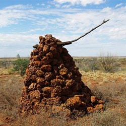 Notabills Hill - Gunbarrel Highway