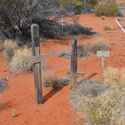 Remote 300 Mile Survey Point Great Victoria Desert