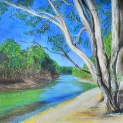 Murray river bend