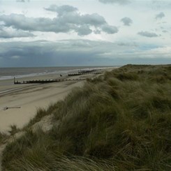 Beach with sand control structures.