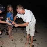 Small shark caught during fishing session