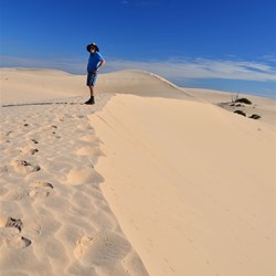 on the sand dune