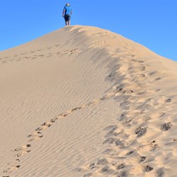 on top of the dune