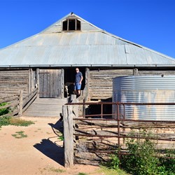 Mungo woolshed