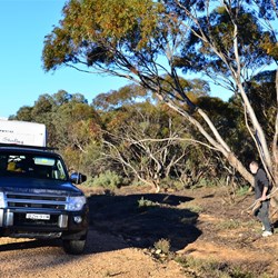 collecting firewood on Ivanhoe road