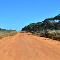 driving in to the park
