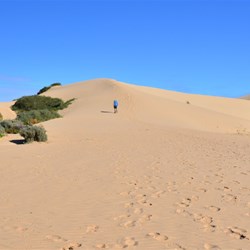 climbing the sand dune