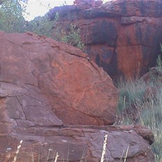 Samples of Rock Art found in the Calvert Range