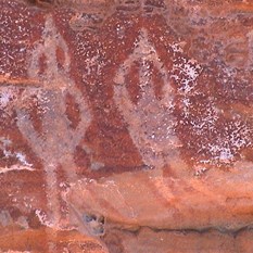 Samples of Rock Art found in the Calvert Range