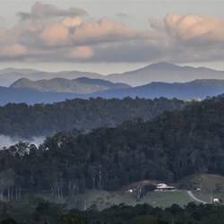 Daintree Landscape