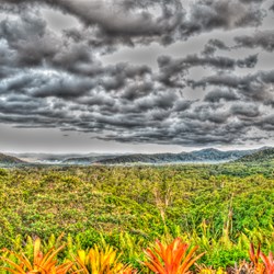 Daintree Landscape in HDR