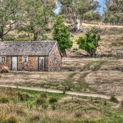 Shack Near Tumut