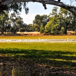 Lake & Camping Quilpie
