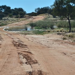 water on road...a wet patch