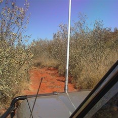 Heavily vegetated track around the Calvert Range