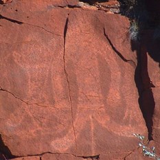 Just some of the very clear paintings found along gorge walls 