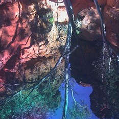 The gorge walk and spring at Biella 