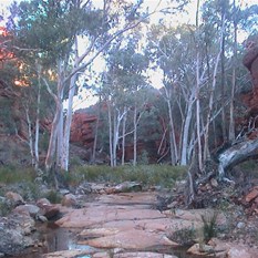 Late afternoon at Killagurra Waterhole - Water 17 