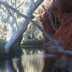 Delightful camps by the creek at Durba 