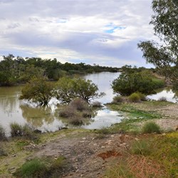 view from Burke and Wills bridge