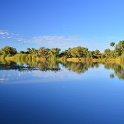 reflections on the Cooper