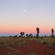 Peace at dusk - Well 20