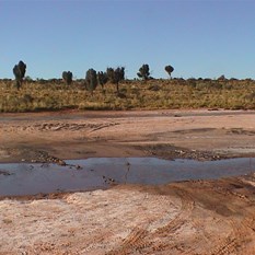 Savory Creek Crossing