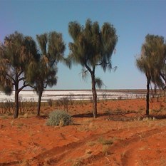 Views of Lake Disappointment from the Camp 
